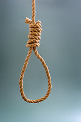 Image showing Noose