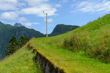 Image showing old overgrown path with a lamp post at the end