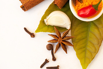 Image showing Spices, herbs flat lay of organic ingredients for cooking or cinnamon or garlic or taste in food and on a white background. Nutrition, diet and coriander for seasoning and natural chilli in studio