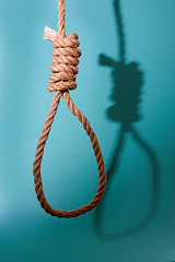 Image showing Noose