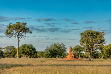 Image showing African landscape, Namibia, Africa wilderness