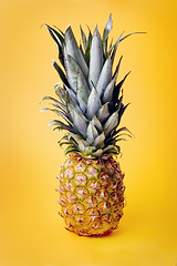 Image showing Pineapple