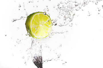 Image showing Lime Splash