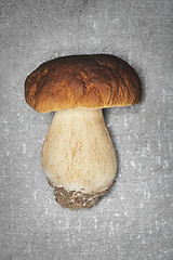 Image showing Porcini