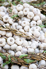 Image showing Garlic