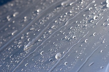 Image showing Water droplets