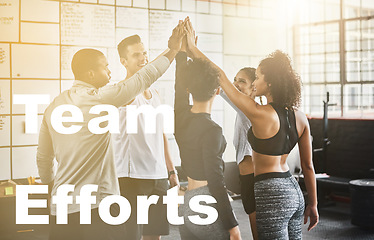 Image showing Gym, words and high five of people together with motivation and teamwork from fitness. Success text, exercise efforts and training group goals with a happy hand gesture from workout class with smile