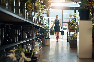 Image showing Flowers, young florist carrying plants in buckets and in plant nursery with lens flare. Agriculture or carbon footprint, eco friendly environment and female worker in small business in flower retail