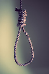 Image showing Noose