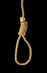 Image showing Noose