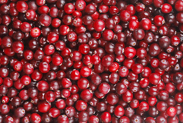 Image showing Cranberries