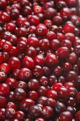 Image showing Cranberries