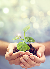Image showing Soil, hands of person and plants on bokeh background to support earth, sustainability and mockup. Closeup, nature and growth of leaf, sand and green future of hope, accountability and climate change