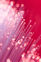 Image showing Optical Fibers