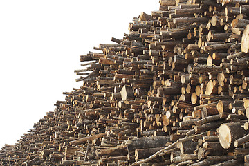 Image showing Log pile