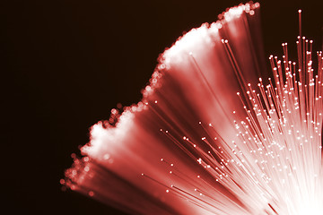 Image showing Red fiber optics