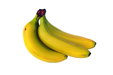 Image showing banana fruit