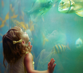 Image showing Girl, aquarium and child looking at fish for learning, curiosity and knowledge, development and nature. Education, fishtank and kid watching marine life or animals swim underwater in oceanarium.