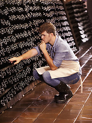 Image showing Winery, man and counting bottles of wine in cellar, warehouse or factory. Alcohol, manufacturing and male person count, inspection or quality control at production plant or distillery while thinking.