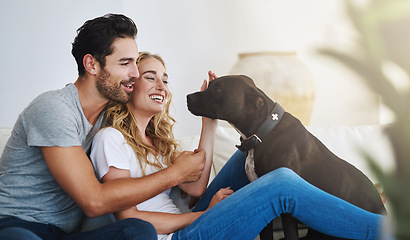 Image showing Smile, relax or happy couple with a pet on house sofa bonding or hugging with trust or loyalty together. Dog, animal lovers or woman enjoys playing with cute pitbull puppy with care on couch