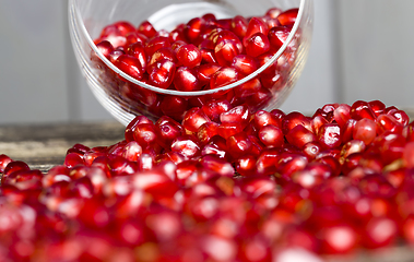 Image showing grains of ordinary red pomegranate