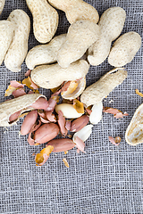 Image showing peeled nuts