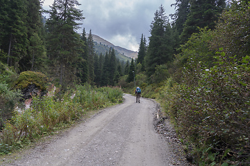 Image showing Trekking in Summer Alps landscape of Tyrol