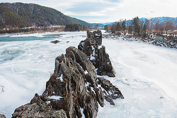 Image showing Fast mountain river Katun at winter