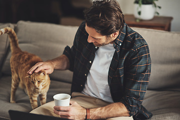 Image showing Love, coffee and man with his cat on a sofa to relax and bond together in his modern home. Rest, animal and male person rubbing his kitten pet with care while drinking a latte in living room at home.