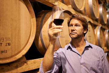 Image showing Wine, tasting and a man in the cellar of a distillery on a farm for the production or fermentation of alcohol. Glass, industry and barrel with a male farmer drinking a beverage for quality control