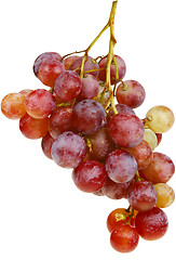 Image showing bunch of grapes