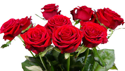 Image showing Red roses