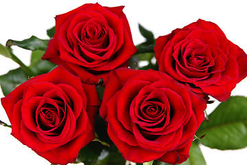 Image showing Red roses