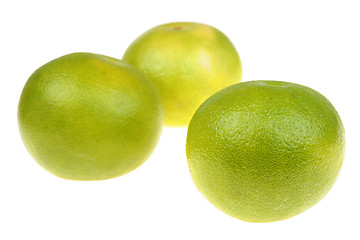 Image showing Grapefruits