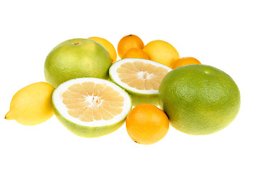 Image showing Citrus fruits