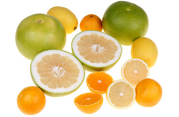 Image showing Citrus fruits