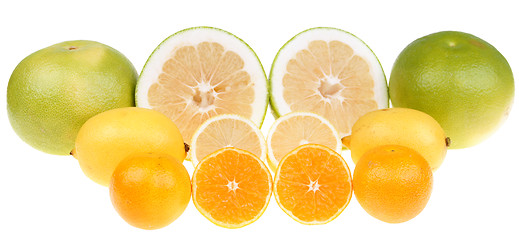 Image showing Citrus fruits