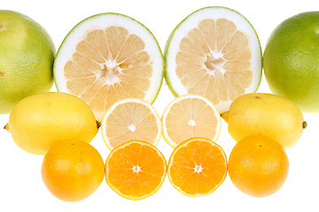 Image showing Citrus fruits