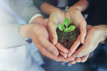 Image showing Closeup, hands and group with a plant, business and sustainability for development, economic growth and startup. Zoom, staff and employees with seedling, dirt and hope with entrepreneurship and goal