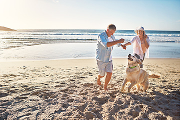 Image showing Happy couple, holding hands and at the beach with a dog in summer for retirement travel in Indonesia. Smile, playful and an elderly man and woman on a walk at the sea with a pet for play and holiday