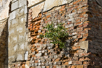 Image showing destroyed old brick wall