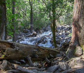 Image showing Yosemite National Park