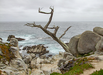 Image showing idyllic coastal scenery in California