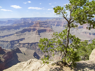 Image showing Grand Canyon in Arizona