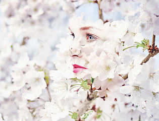 Image showing Woman, flowers and double exposure with cherry blossom tree in nature outdoor. Spring, female model and creative art with flower and beauty with blooming or winter plants overlay with a lady thinking