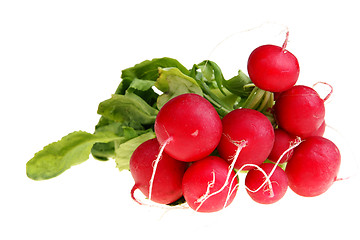 Image showing Bunch of radish