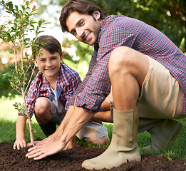 Image showing Portrait, father and child planting a tree together for sustainability, gardening and ecology. Happy, family and a little boy helping dad plant trees in the garden for landscaping, hobby and bonding