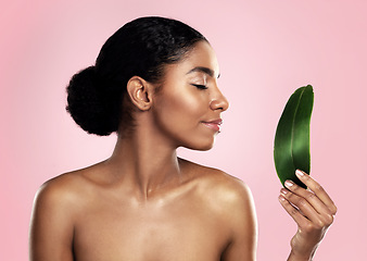 Image showing Woman, leaf and natural beauty in studio, pink background and eco friendly sustainable cosmetics. Face, african model and skincare from plants, green leaves and sustainability of vegan dermatology