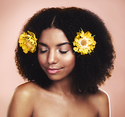 Image showing Woman, hair care and yellow flowers in studio background for natural beauty, floral aesthetic or shine. Face of african model, skincare and daisy plants in afro for sustainability, cosmetics and glow