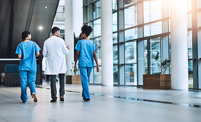 Image showing Back, employees and doctors walking, conversation and planning with deadlines, schedule and brainstorming. Medical professional, coworkers and team with uniform, share ideas and talking for advice